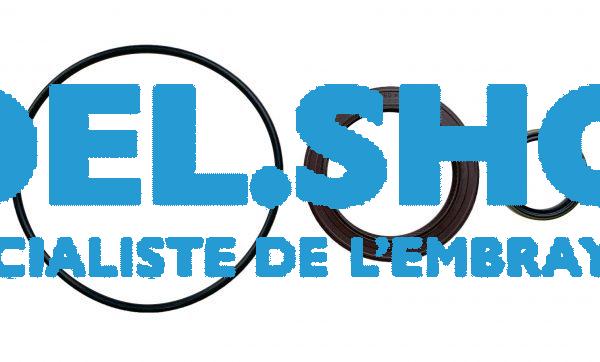 Kit Joint Spi - Boite de vitesse - Renault