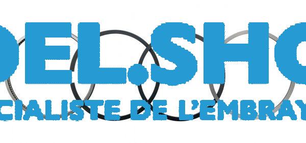 Jeu de segments de pistons FL 912 | Qualité origine